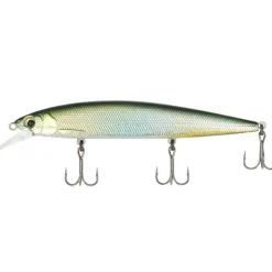 Major Craft Ceana Jerkbait / Shallow