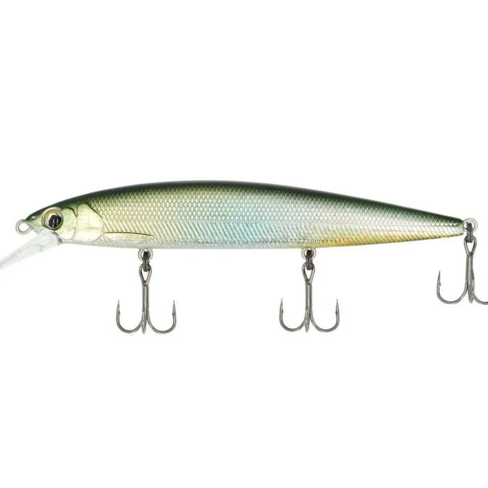 Major Craft Ceana Jerkbait / Shallow