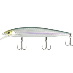 Major Craft Ceana Jerkbait / Shallow