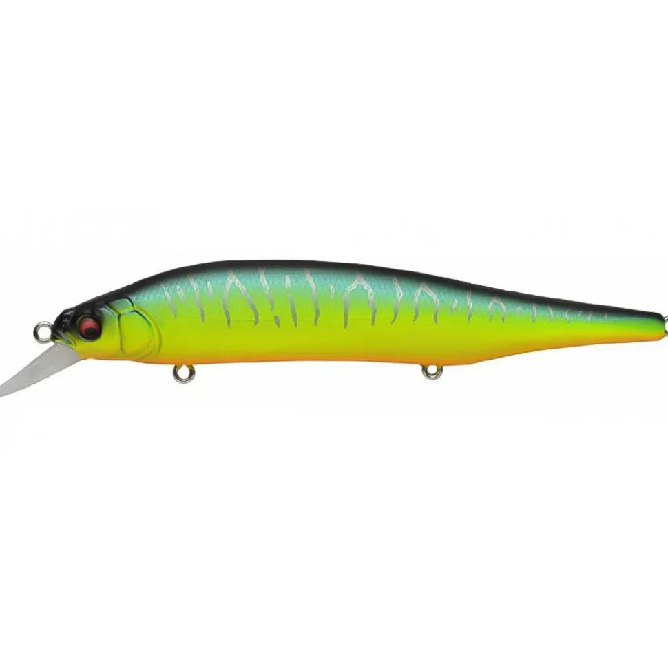 Megabass Ito Shiner