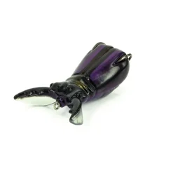 Molix Supernato Beetle