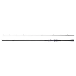 Shimano 26 Zodias Casting