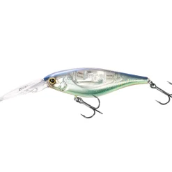 Shimano Bantam Enber 60SP Flashboost