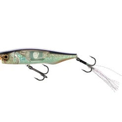 Shimano Bantam Ligen 66F Flashboost