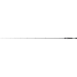 Shimano Curado (Casting)