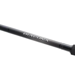 Shimano Dialuna Spinning Inshore