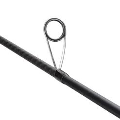 Shimano Dialuna Spinning Inshore