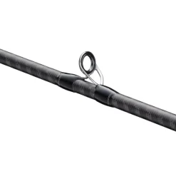 Shimano Dialuna Spinning Inshore