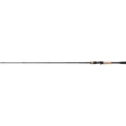Shimano Expride (Casting)