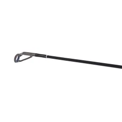 Shimano Yasei BB AX Aspius (Spinning)