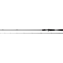 Shimano Zodias (Casting)