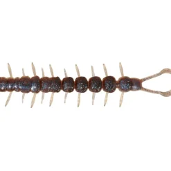 Westin Centipede Creaturebait