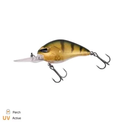 Zeck Danny 2.0 5,5 cm / 2,5 m